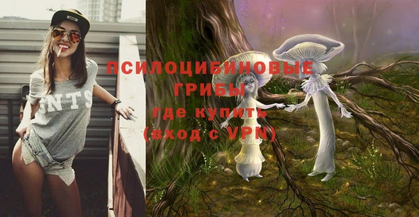 герыч Алзамай
