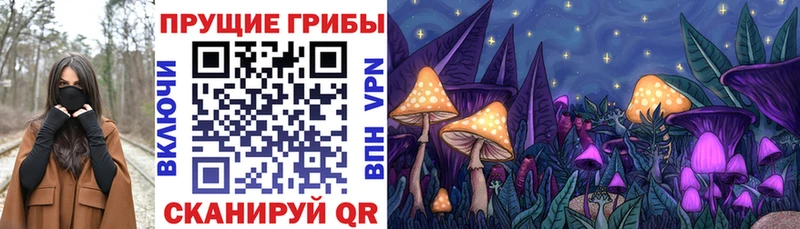 Псилоцибиновые грибы прущие грибы  Крымск 